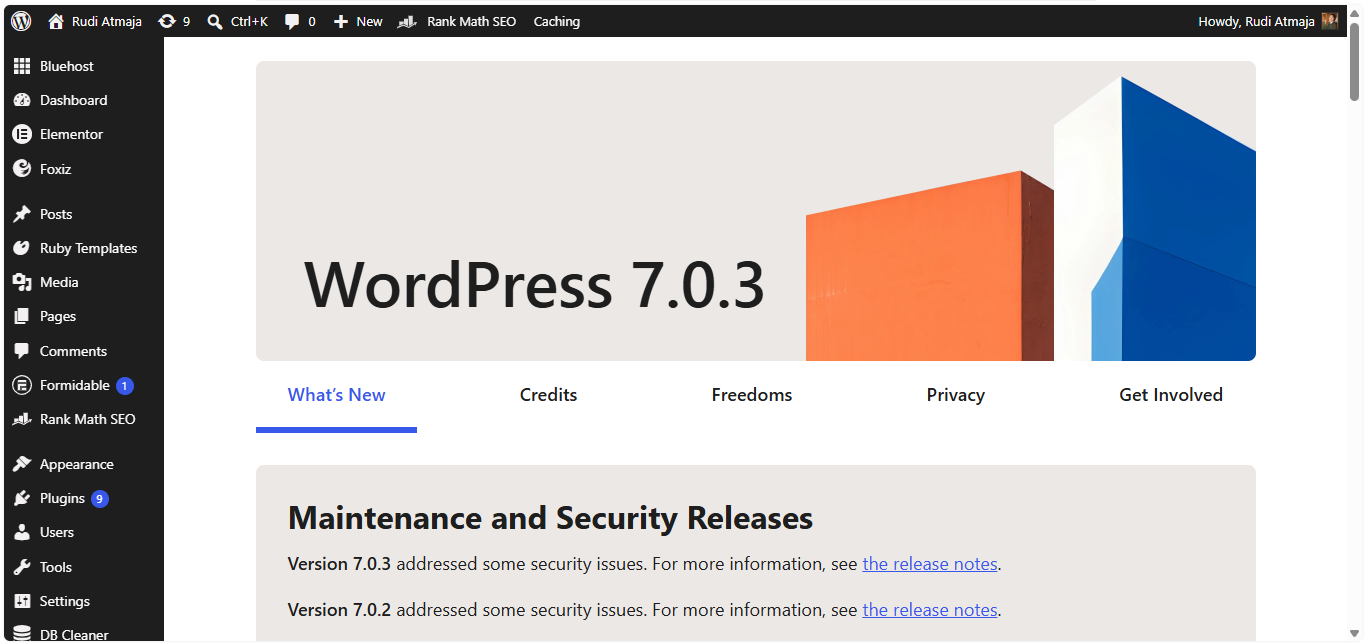what is wordpress.org